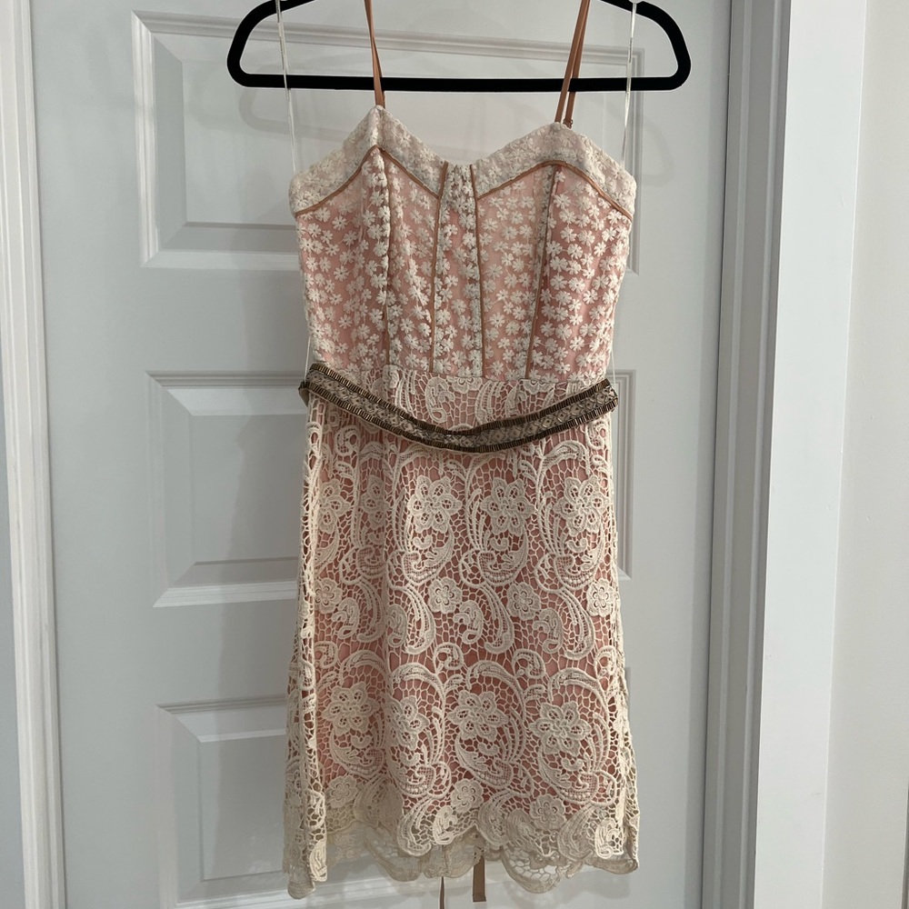 Champagne and Strawberries lace dress
